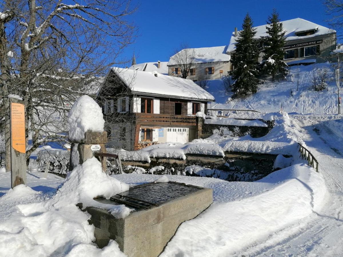 Chalet Roche Rousse グレス・アン・ヴェルコール エクステリア 写真